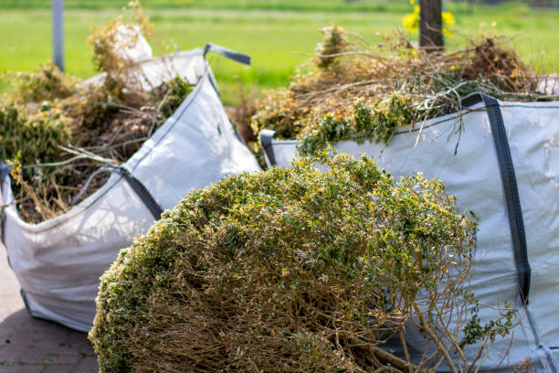 Trusted Berlin, NH Junk Removal Services Experts